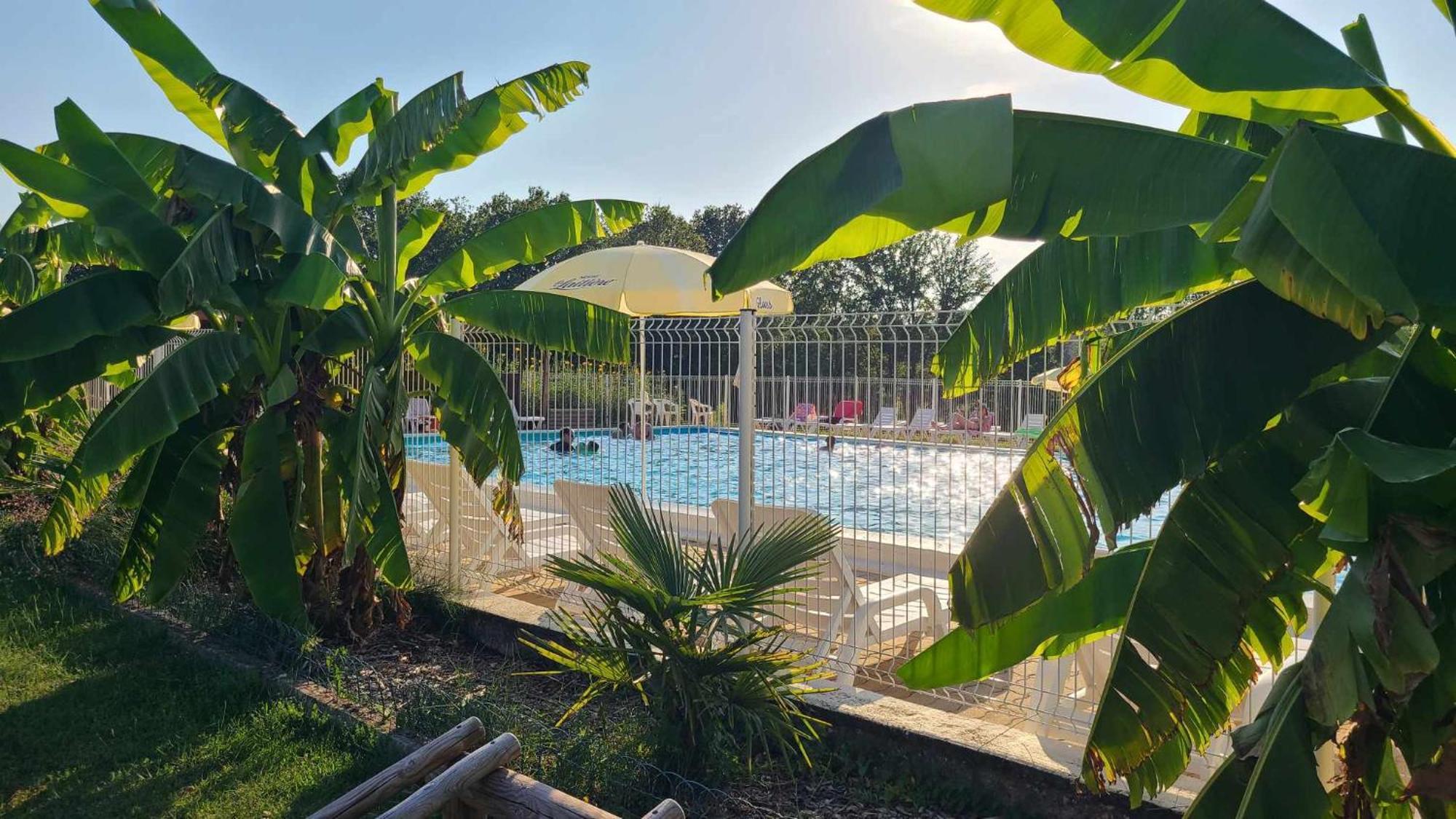 Hotel Le Domaine Du Bois Coquet La Douze Esterno foto